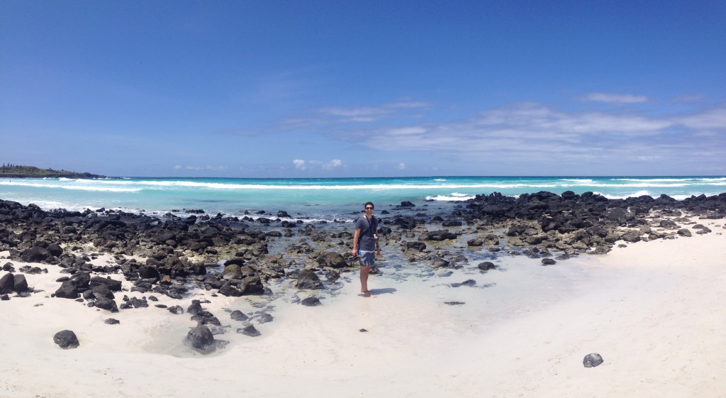 The beach near Tortuga Bay - it was paradise!